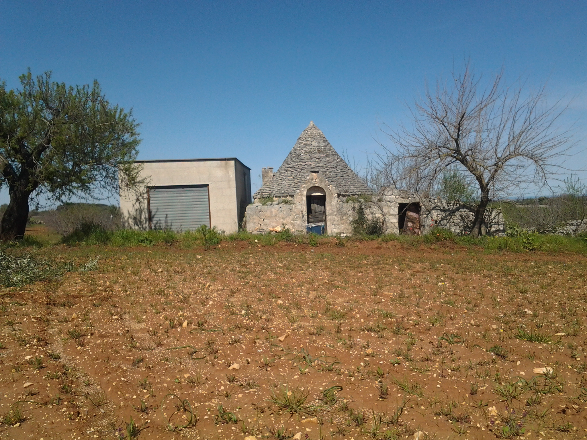 Tra Conversano e Putignano Trullo Con Annesso Deposito e Terreno