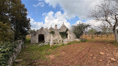 Ad 1 Km dal Paese, Trulli con Conversa e Terreno di 14.000 mq ca.