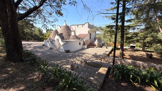 Villa Panoramica In Buone Condizioni Con Trullo Comunicante.