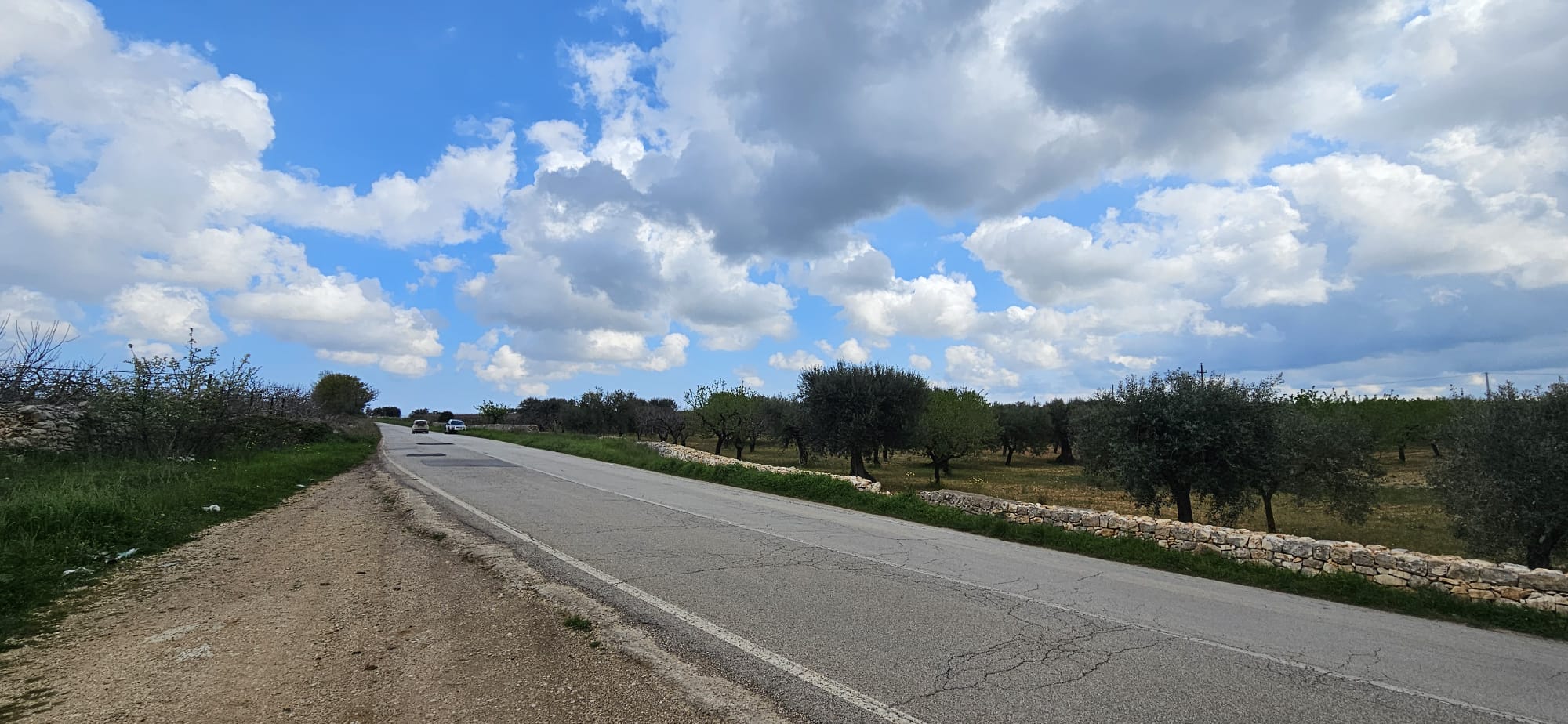 Terreno di 33.700 mq ca. con Fabbricato Rurale