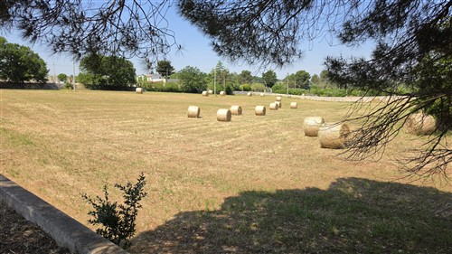 Terreno Agricolo e Ciliegeto a Castellana Grotte