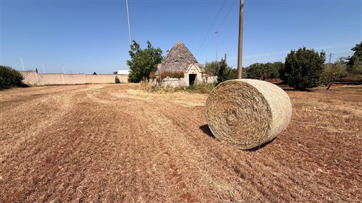 Caratteristico Trullo Con Terreno Di 3.000 mq. Circa.